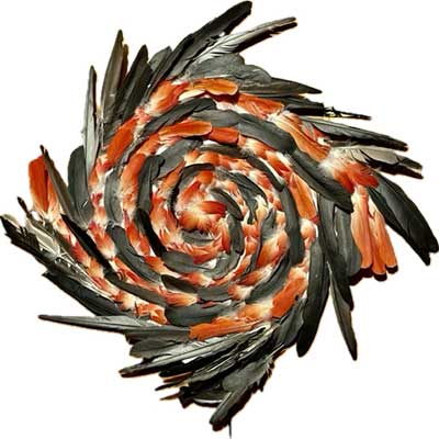 Circle of Life is Spiral